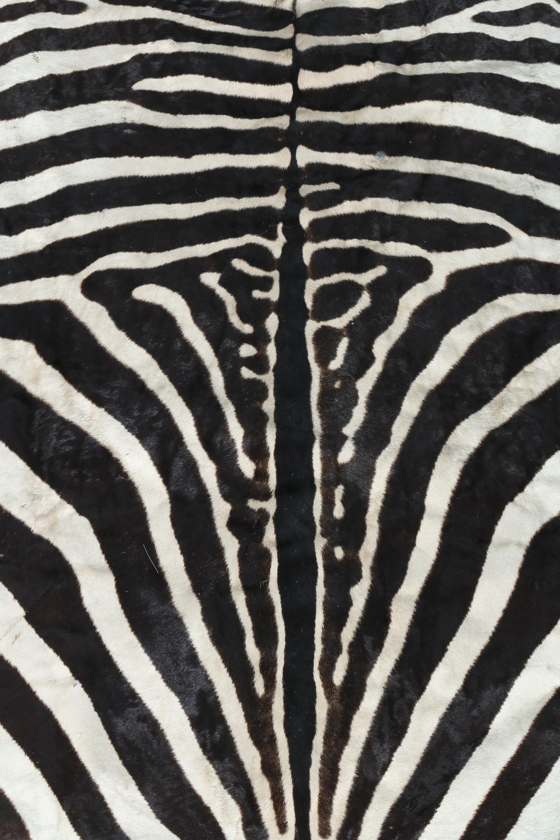 Genuine Zebra Hide Rug