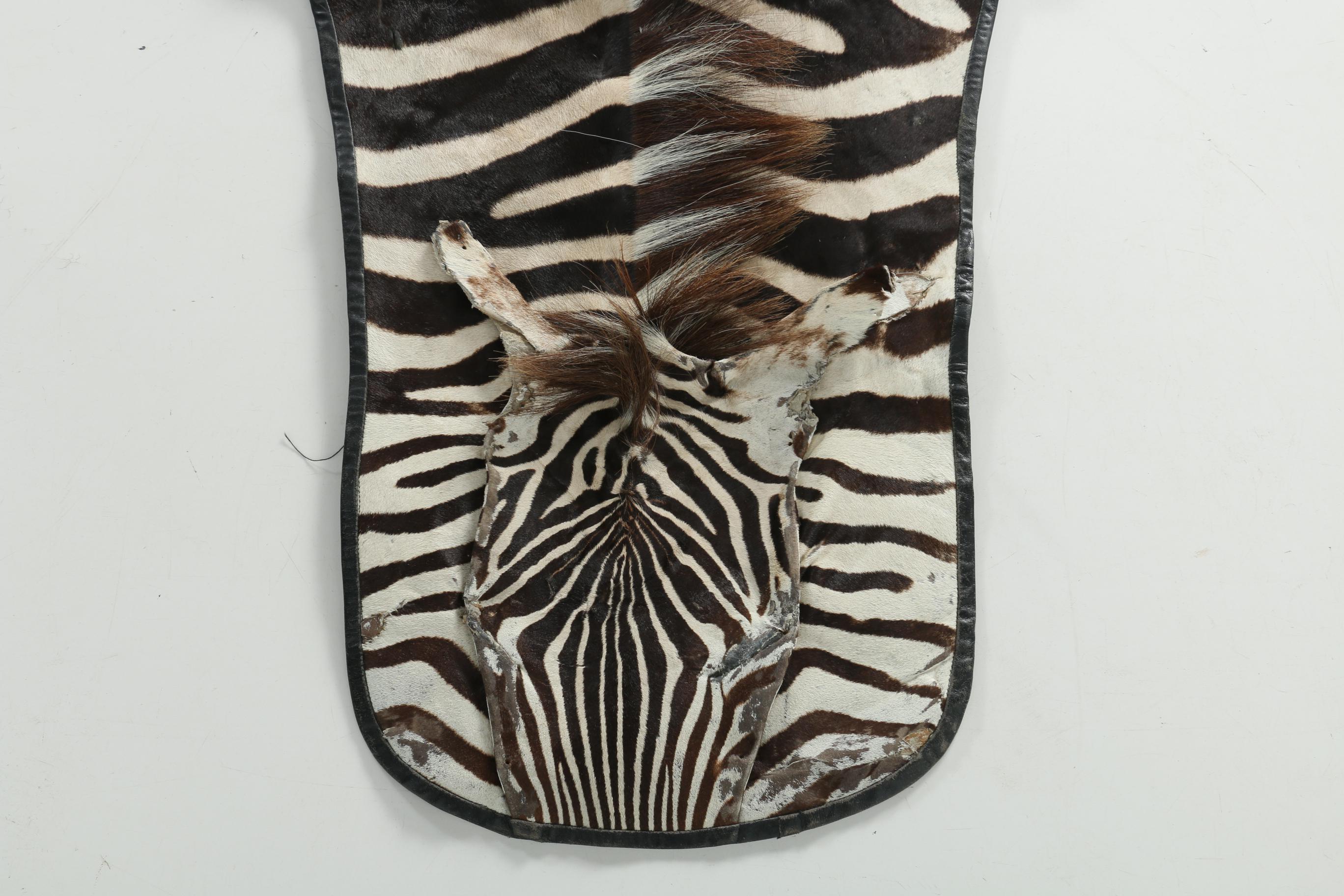 Genuine Zebra Hide Rug