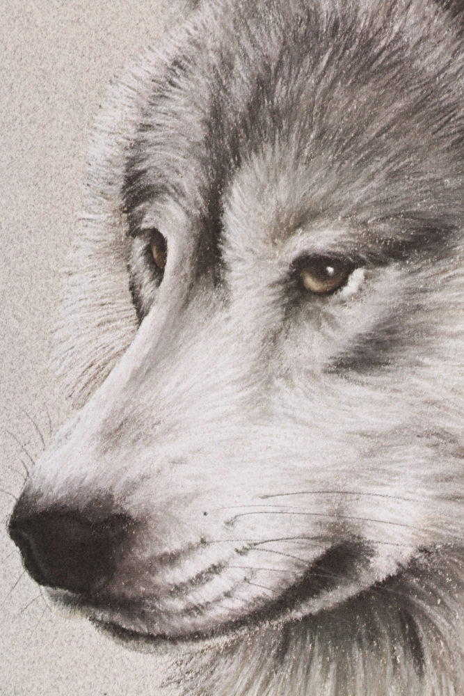 Harold Rigsby Limited Edition Offset Lithographs of Woodland Animals