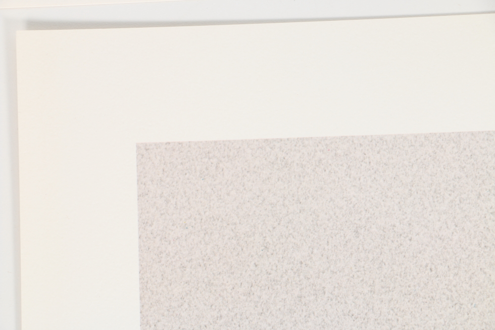 Harold Rigsby Limited Edition Offset Lithographs of Woodland Animals