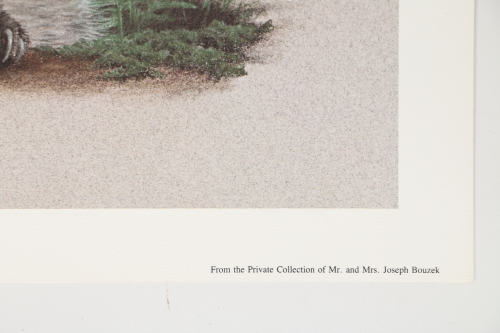 Harold Rigsby Limited Edition Offset Lithographs of Woodland Animals