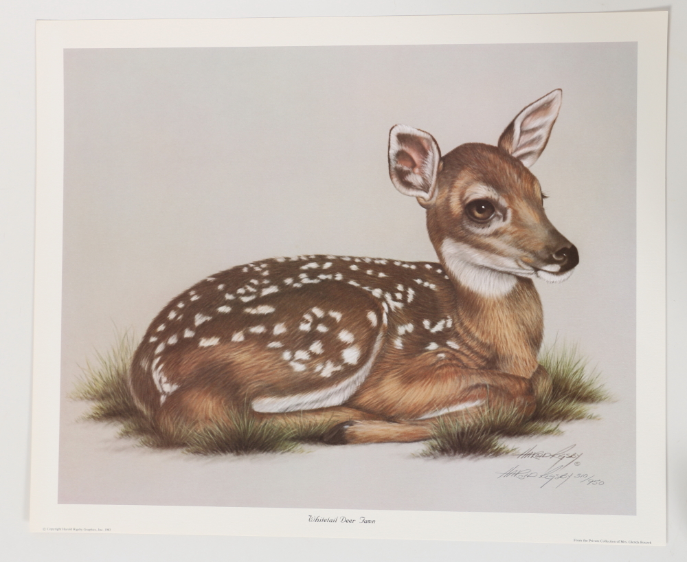 Harold Rigsby Limited Edition Offset Lithographs of Woodland Animals