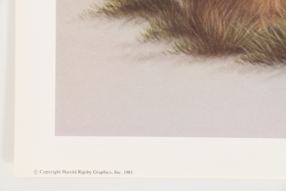 Harold Rigsby Limited Edition Offset Lithographs of Woodland Animals