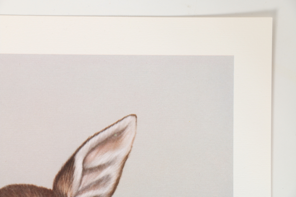 Harold Rigsby Limited Edition Offset Lithographs of Woodland Animals