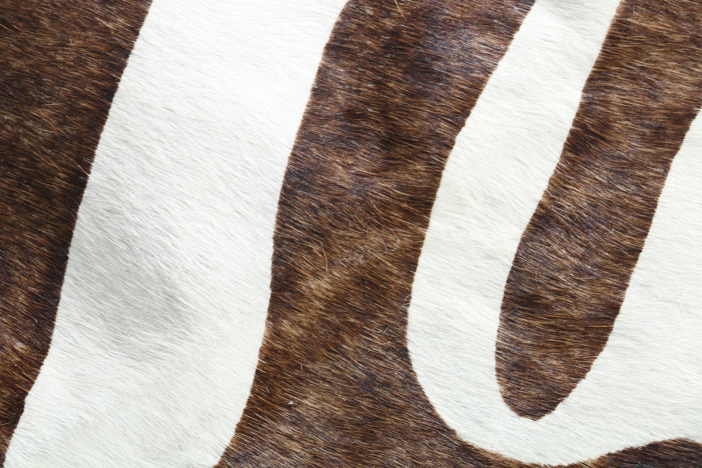 Zebra Print Cowhide Rug