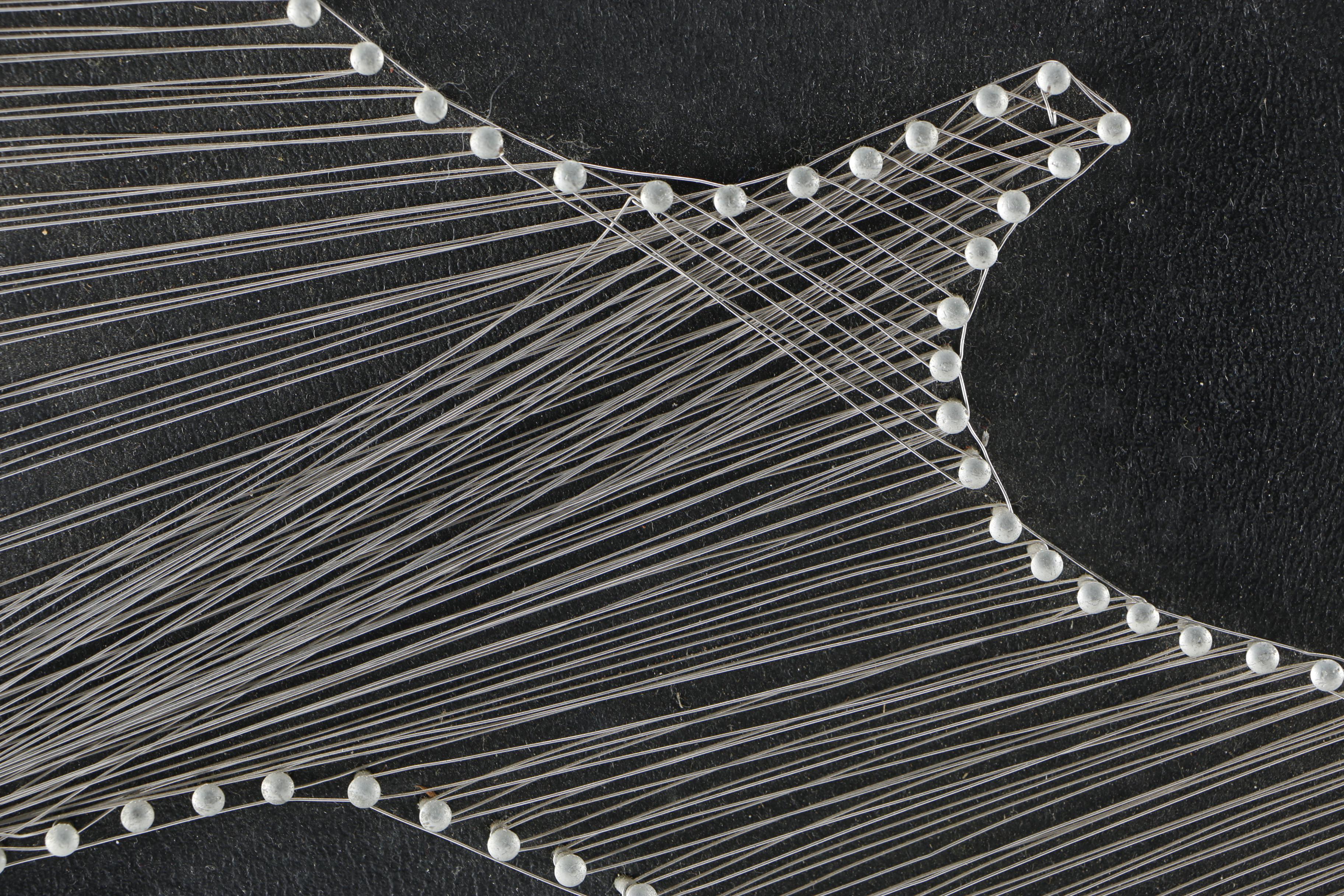 Wire on Leather Canvas of Seagull and Penny-Farthing Bicycle