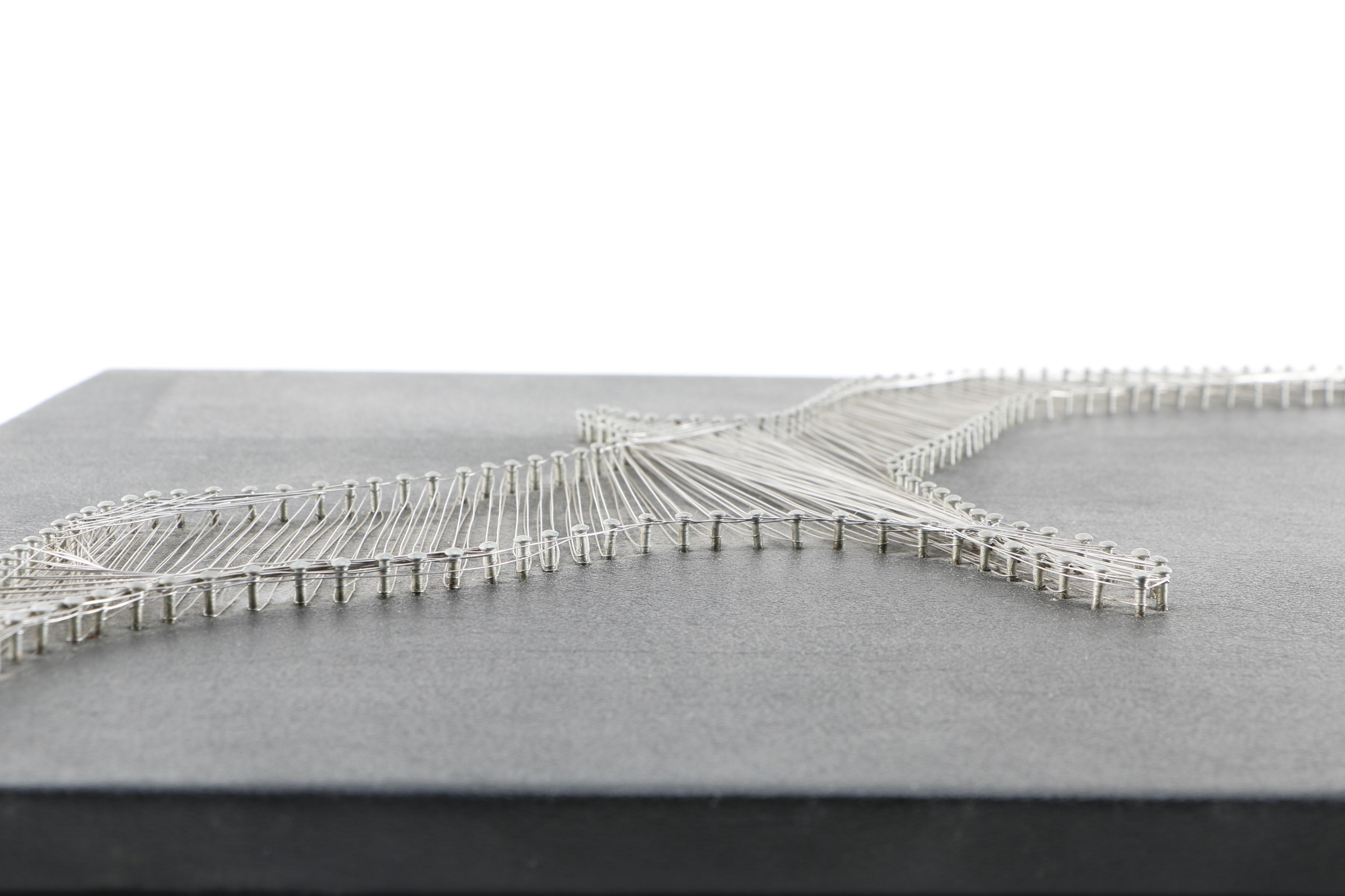 Wire on Leather Canvas of Seagull and Penny-Farthing Bicycle