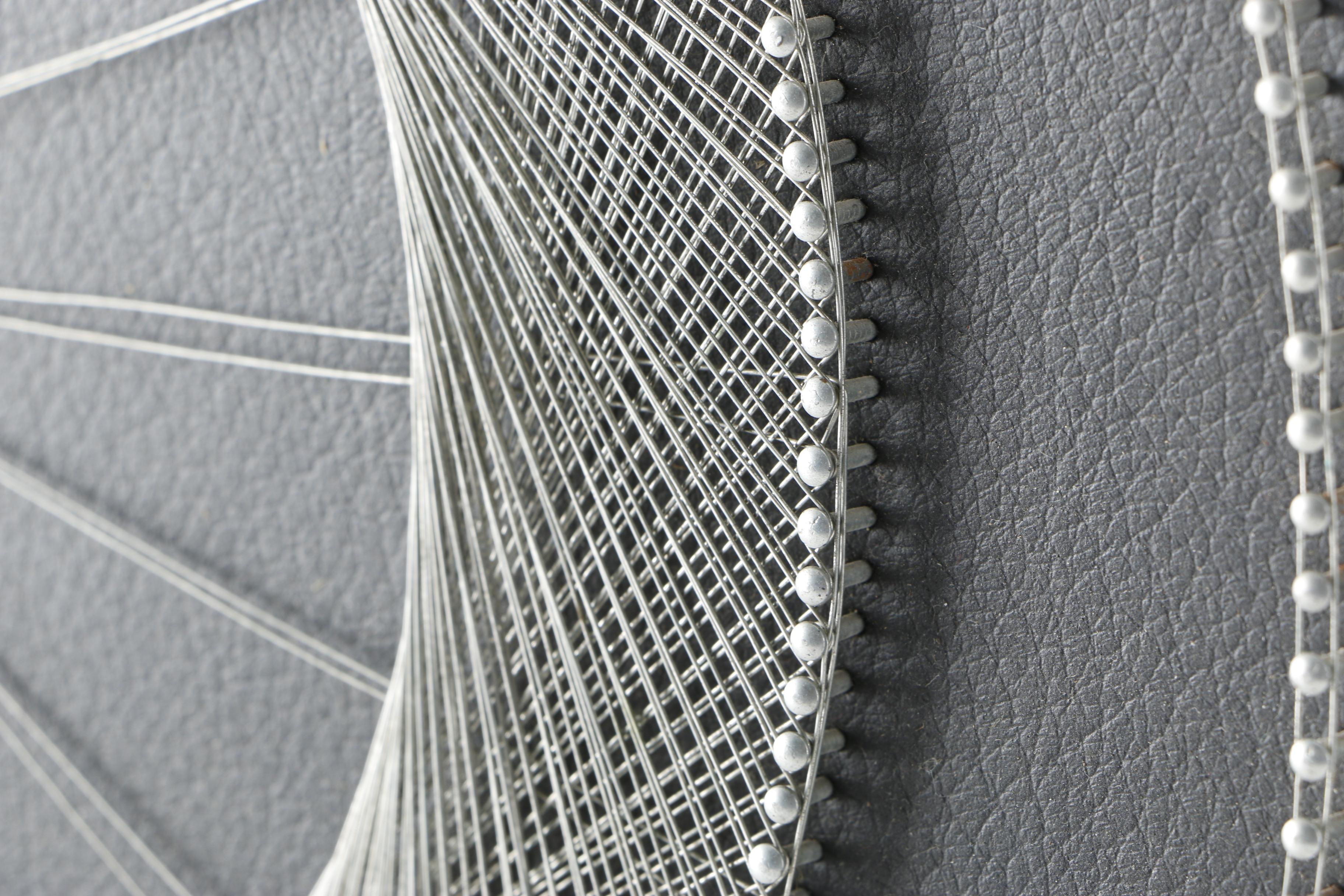 Wire on Leather Canvas of Seagull and Penny-Farthing Bicycle