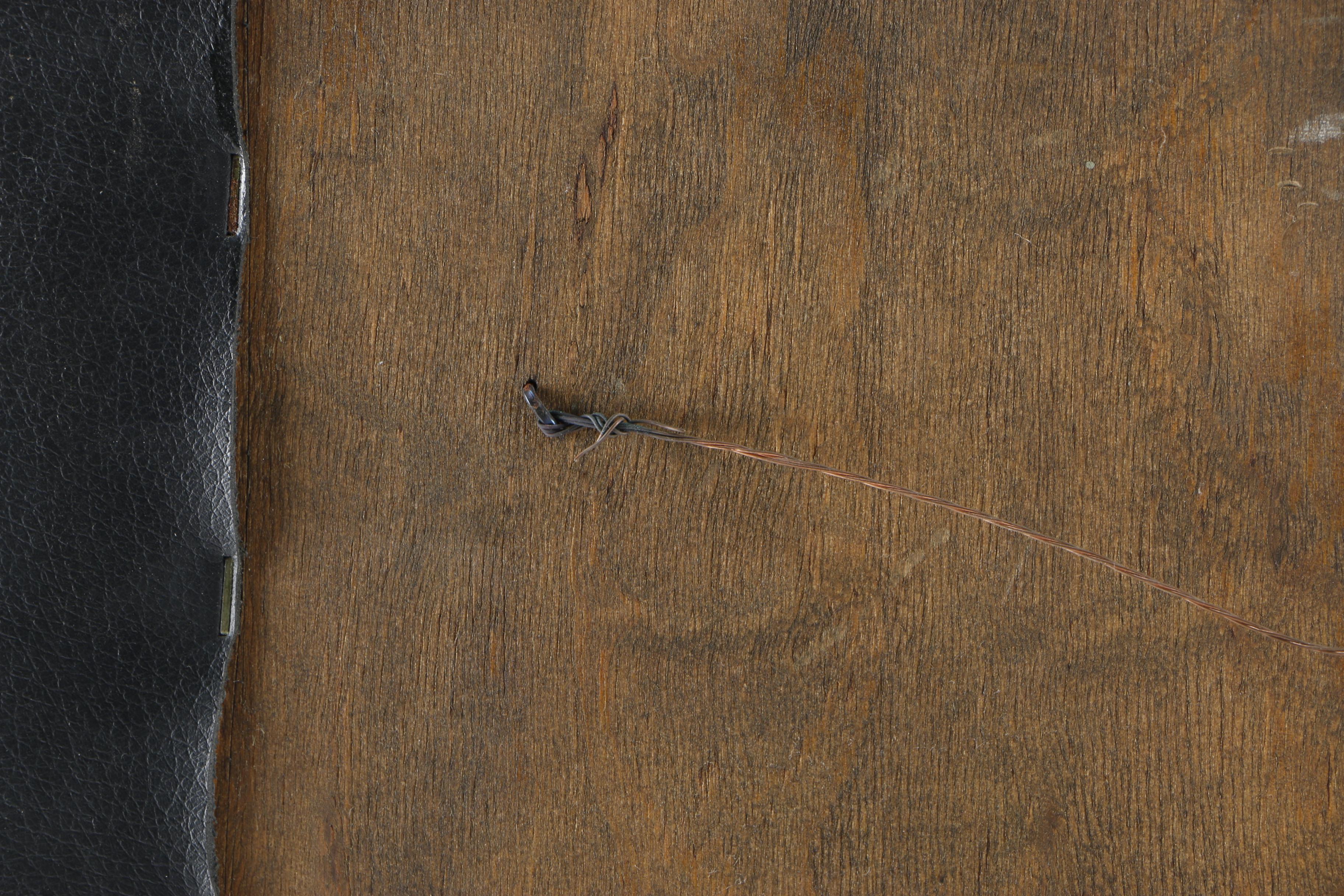 Wire on Leather Canvas of Seagull and Penny-Farthing Bicycle