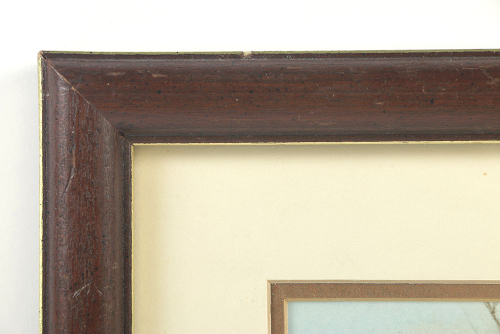 Toni Dane Original Watercolor and Gouache on Paper