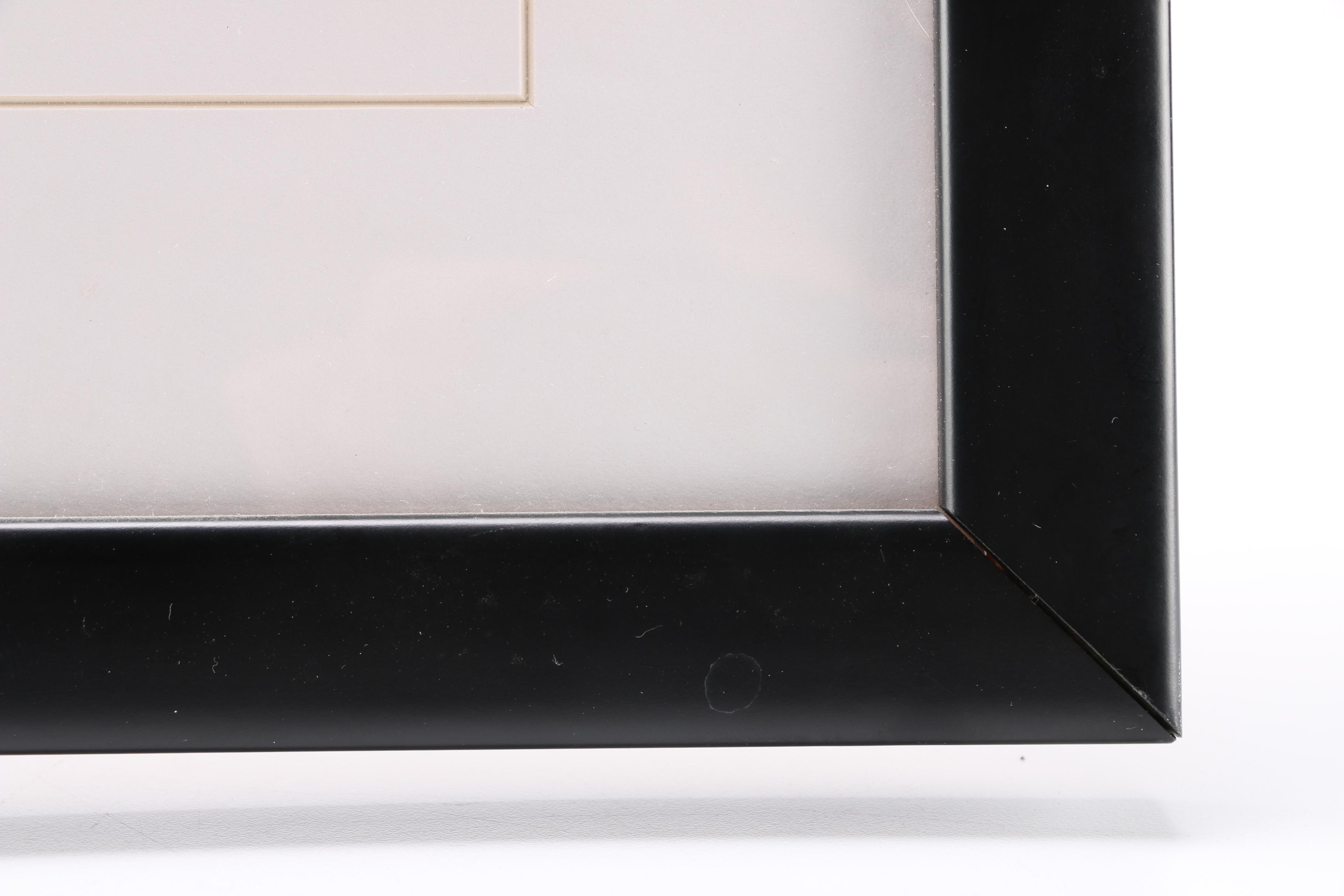 Limited Edition Framed "Tarzan" Pin Set