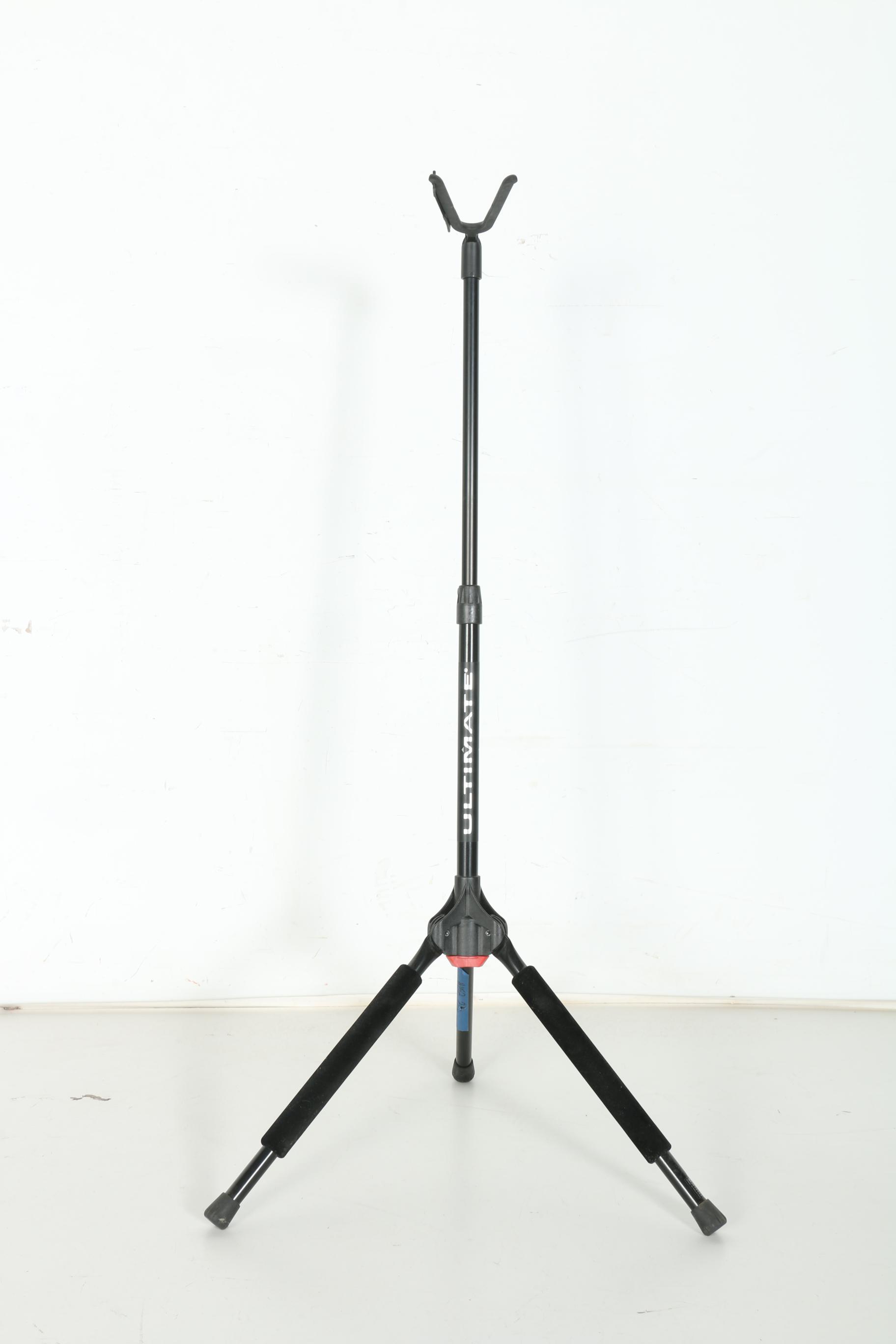 Austin Electric Guitar and Stand