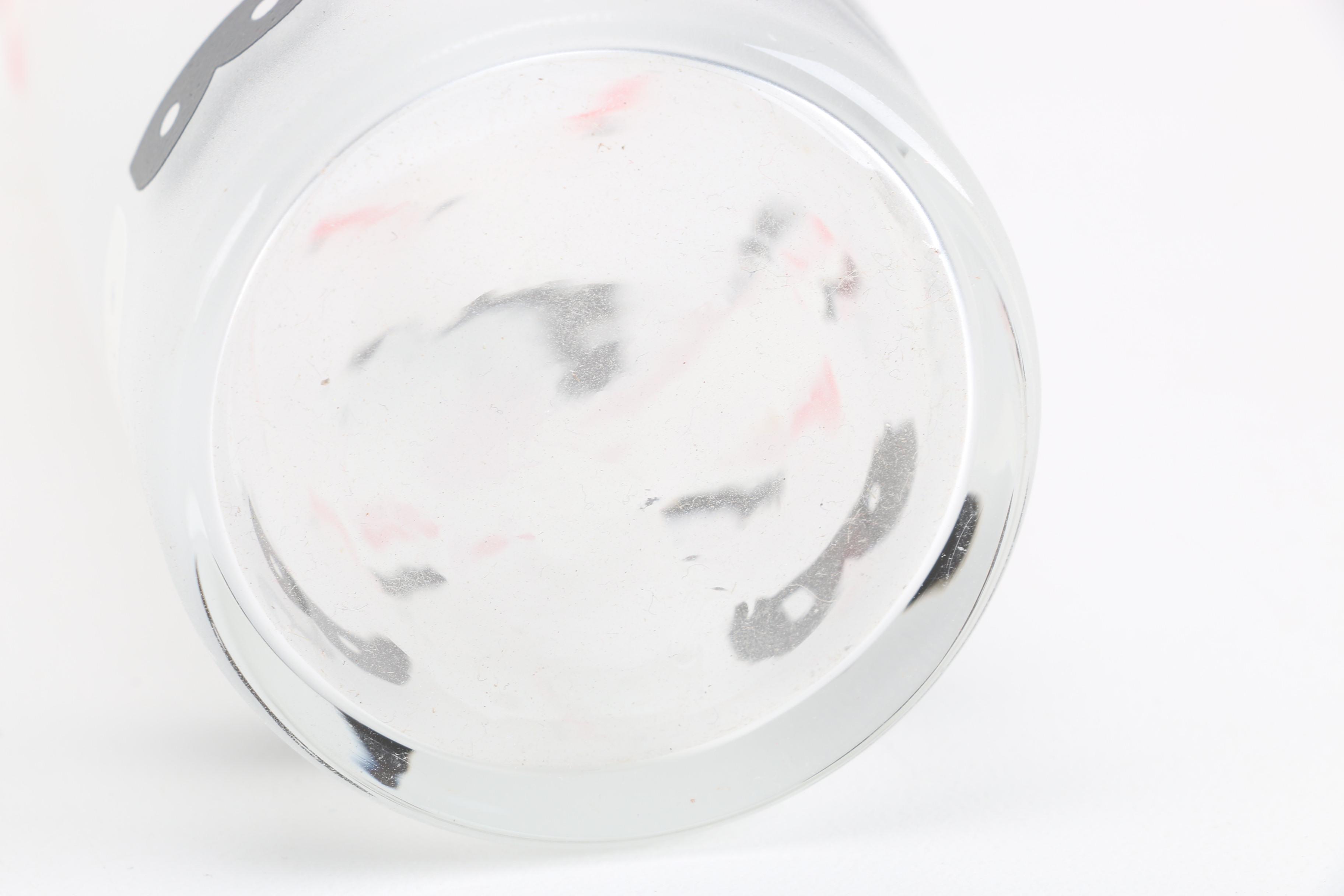 Libbey "Carousel" Iced Tea Glasses