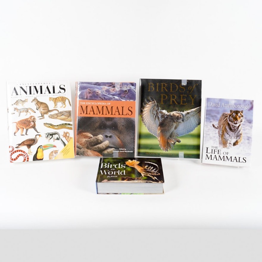 Animal-Themed Hardback Books
