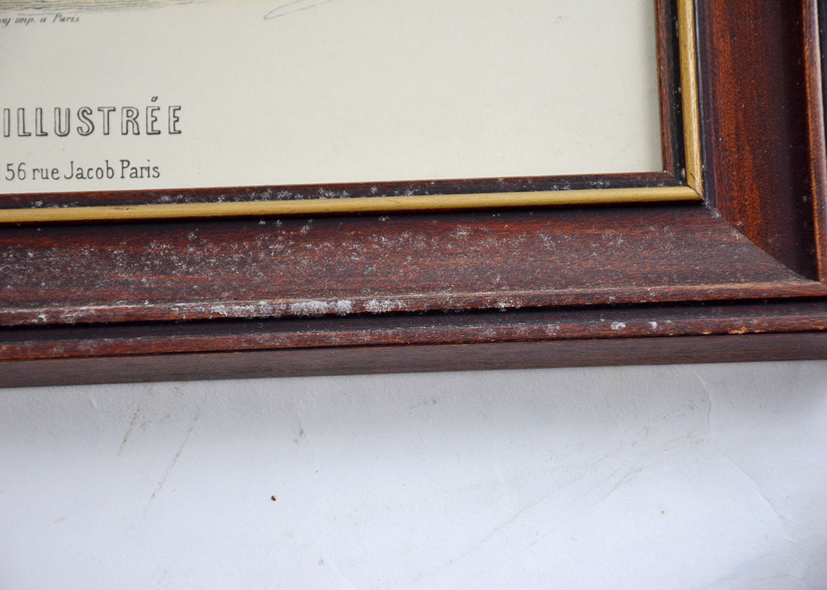 La Mode Illustree Hand Colored Engraving