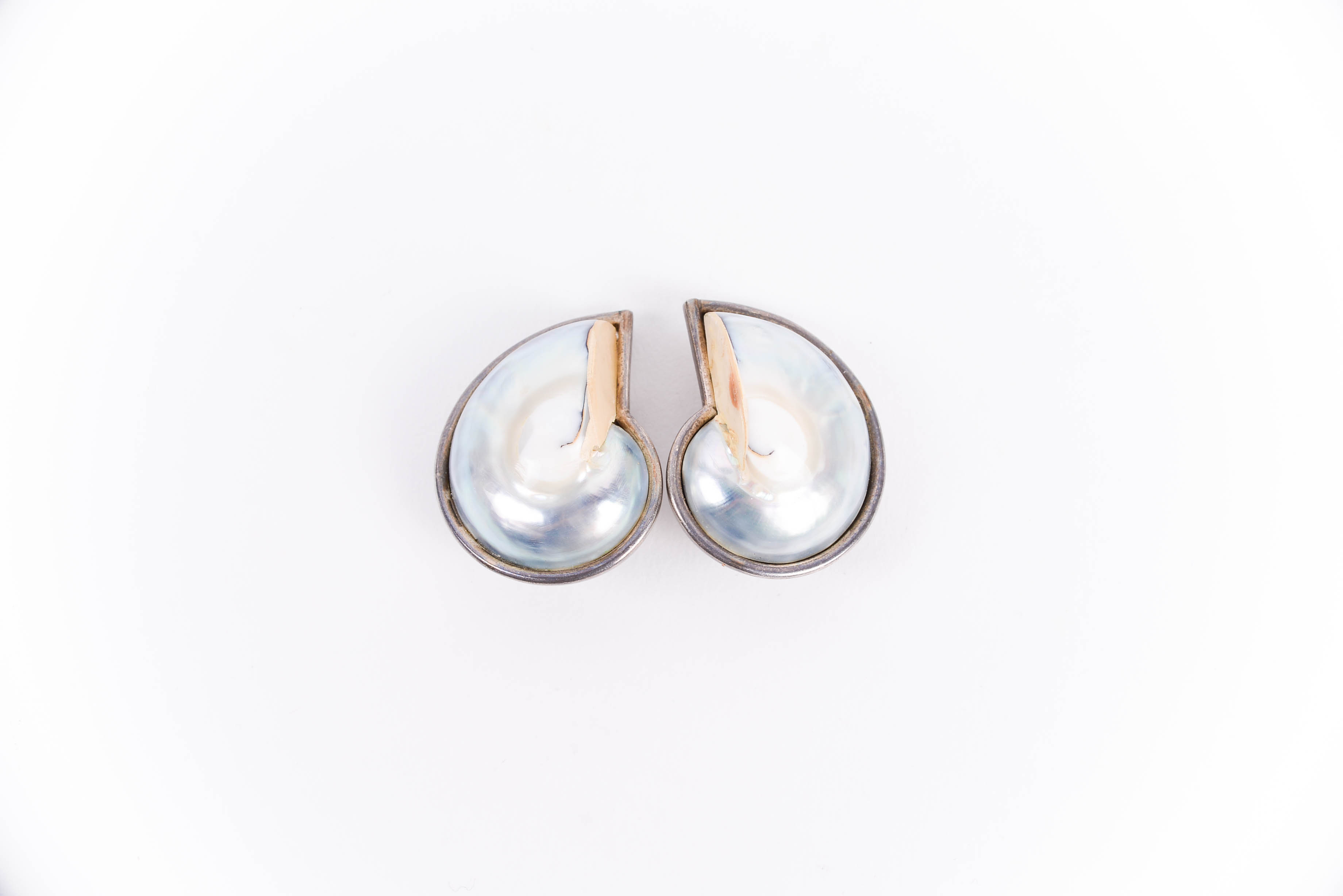 Sterling Silver Earrings with Dyed Nautilus Shell