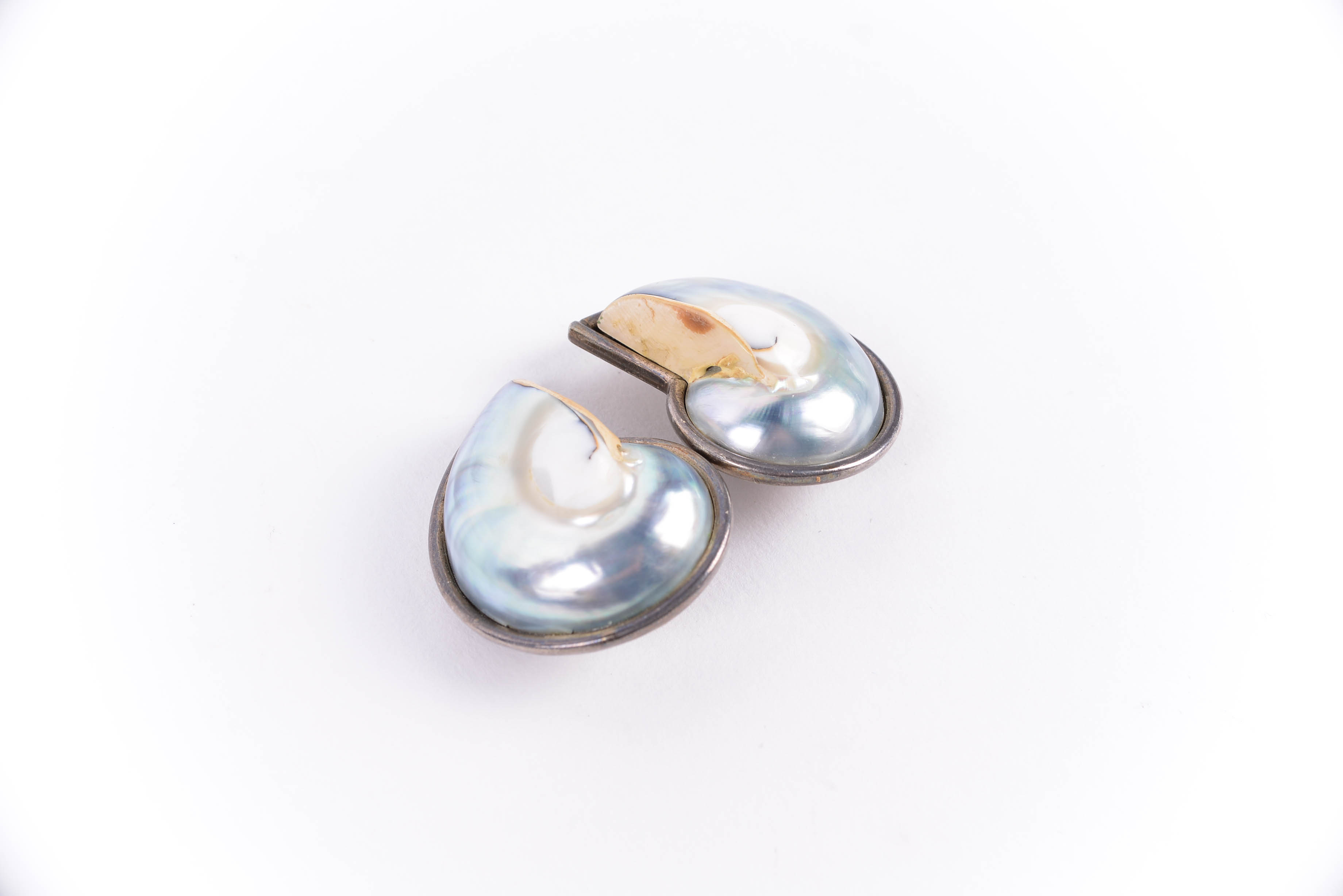 Sterling Silver Earrings with Dyed Nautilus Shell