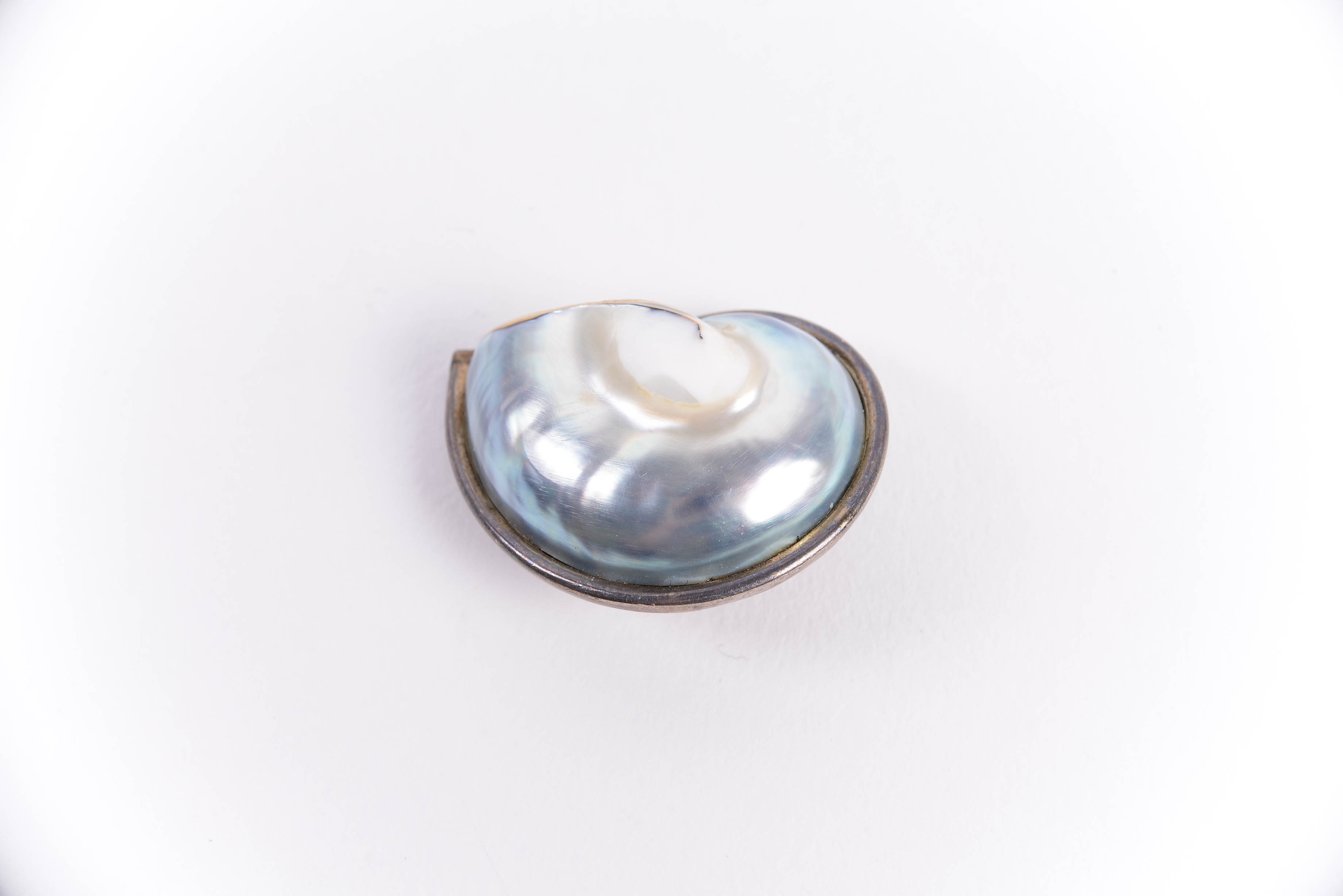 Sterling Silver Earrings with Dyed Nautilus Shell