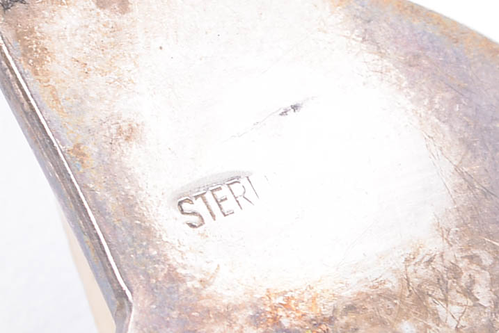 Sterling Silver Earrings with Dyed Nautilus Shell