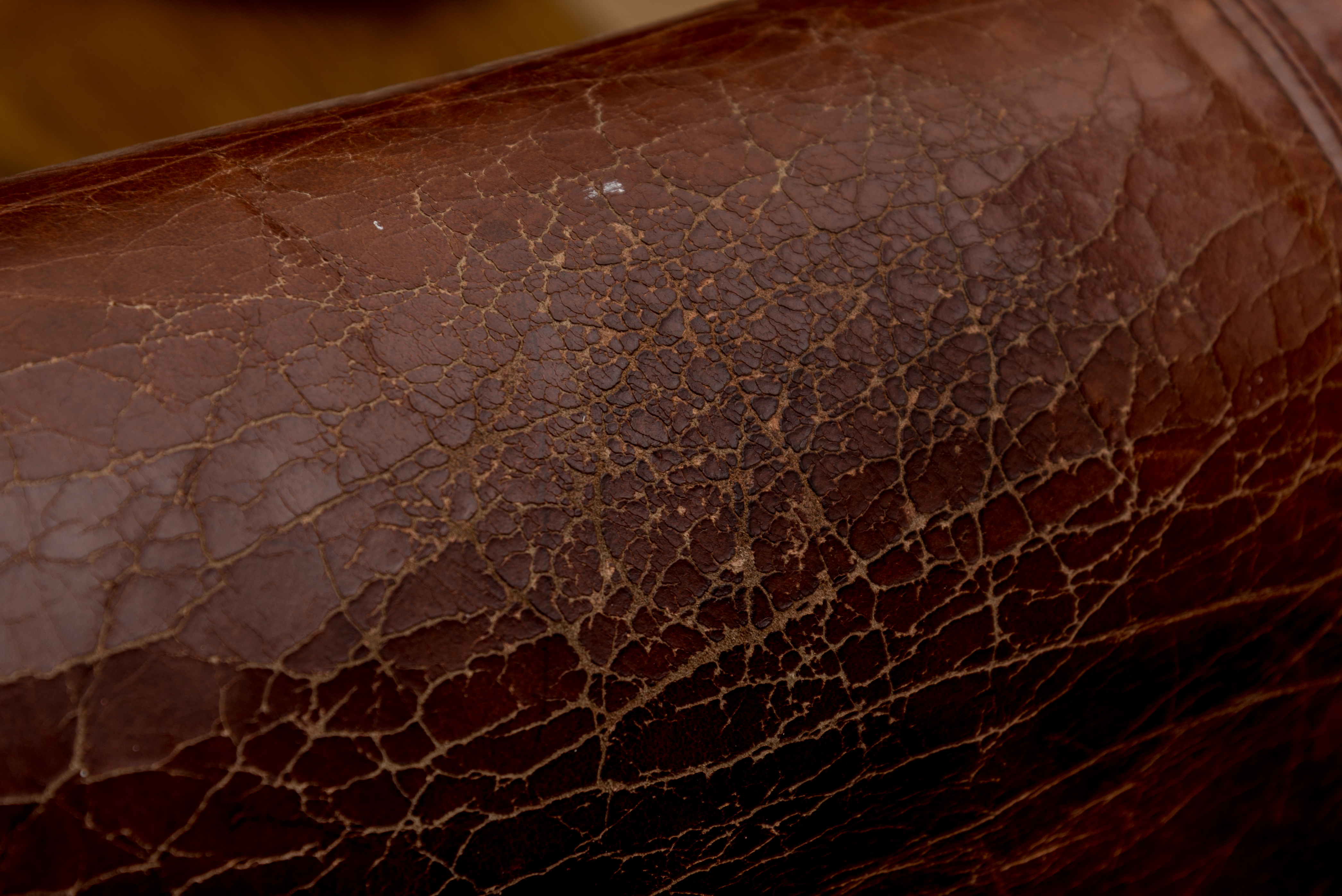 Bauhaus U.S.A. Leather Chair and Ottoman