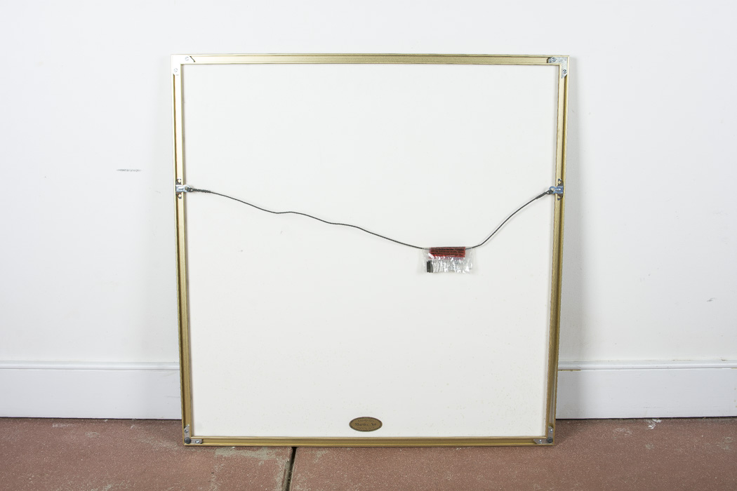 Willard Bond Framed Poster "Close Encounter"