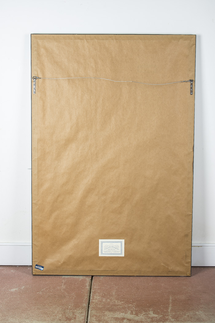 "Pain and Its Relief" Offset Lithograph and Accompanying Book