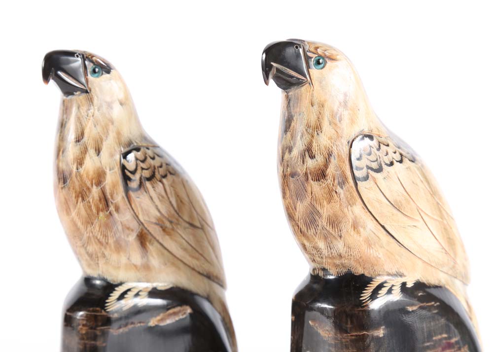 Bird Hand Carved Water Buffalo Horns