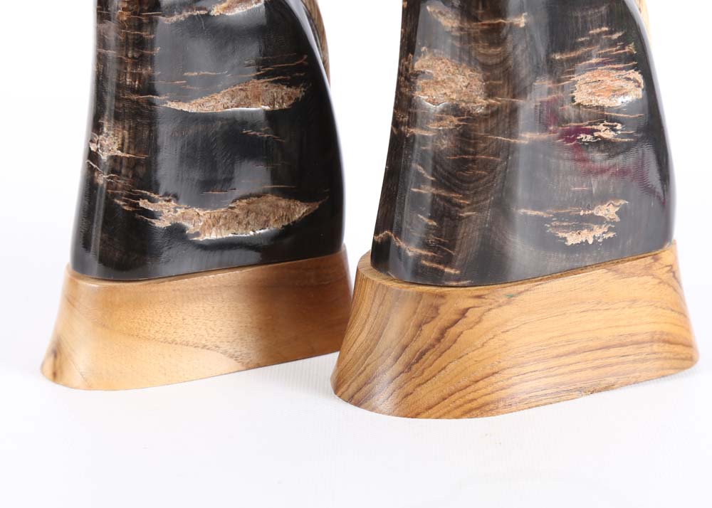 Bird Hand Carved Water Buffalo Horns