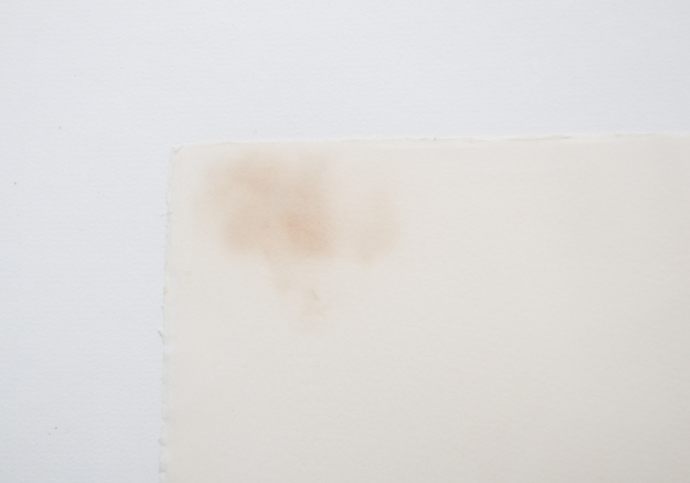 Jacuqeline Debutler Signed Limited Edition Color Intaglio Titled "Magic Noir"