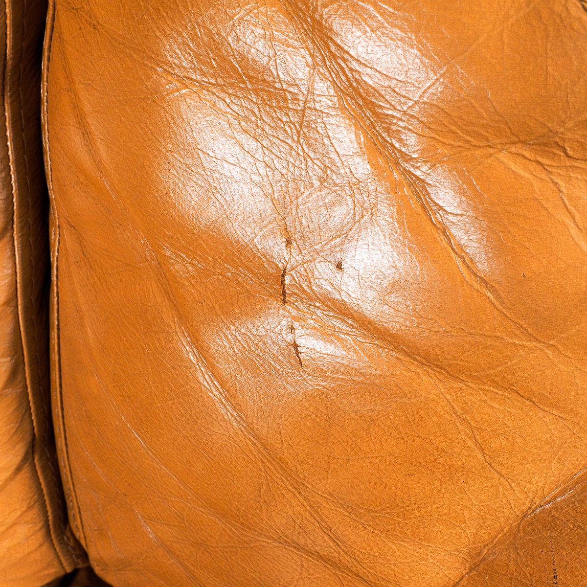 Contemporary Leather Love Seat