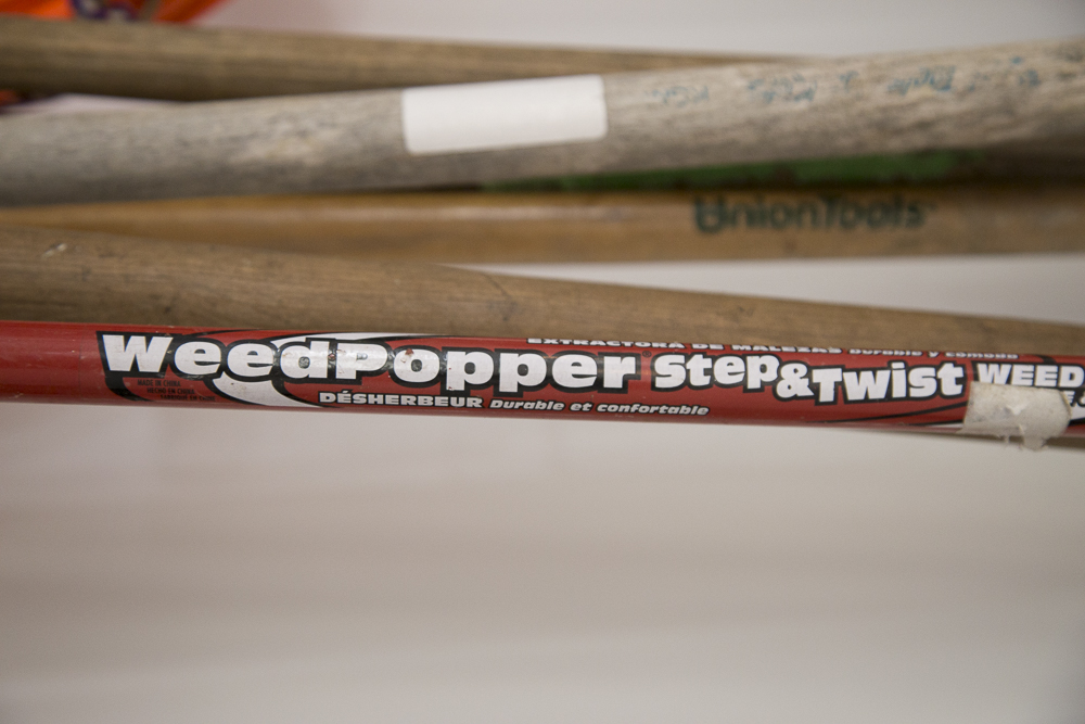 Assortment of Garden Shovels and Tools