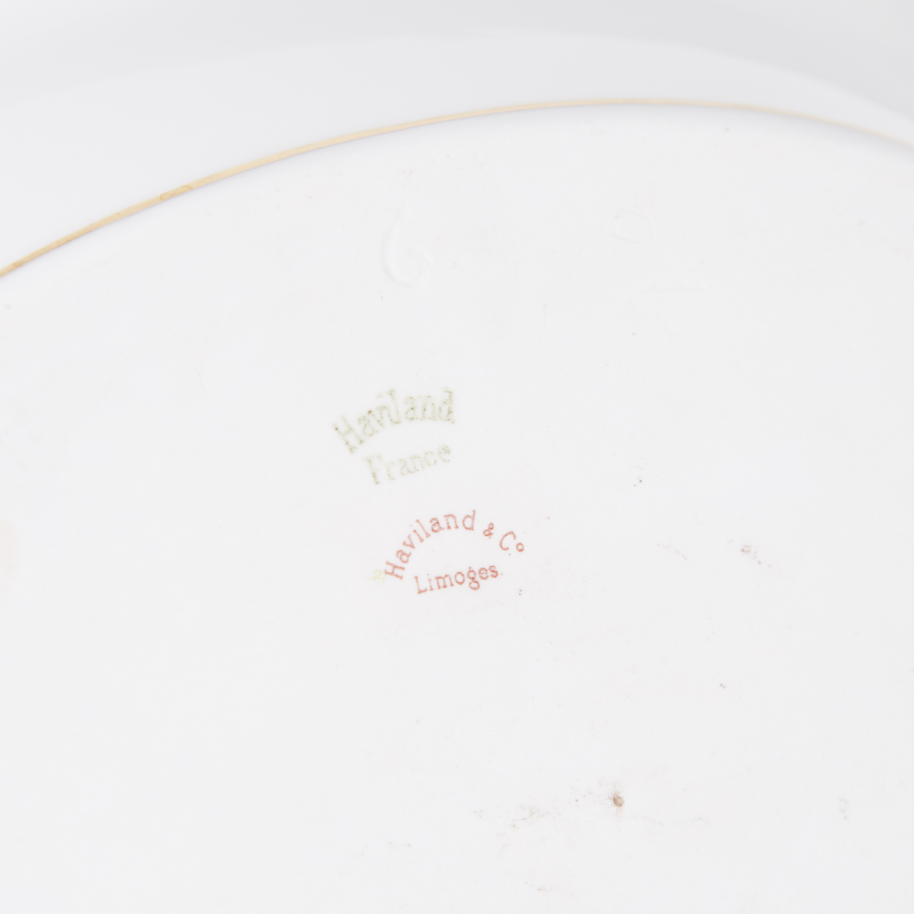 Haviland & Co. Limoges China Tableware Set