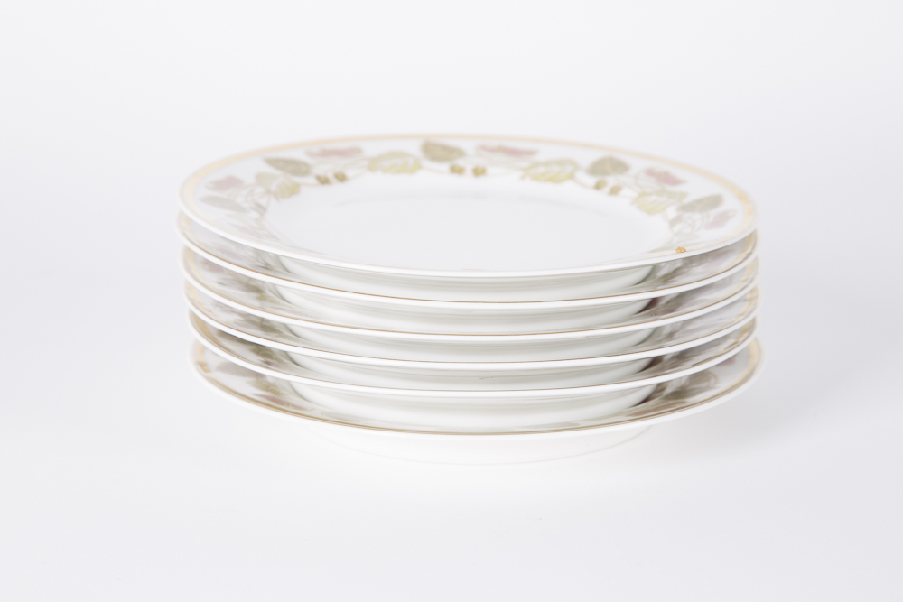 Haviland & Co. Limoges China Tableware Set