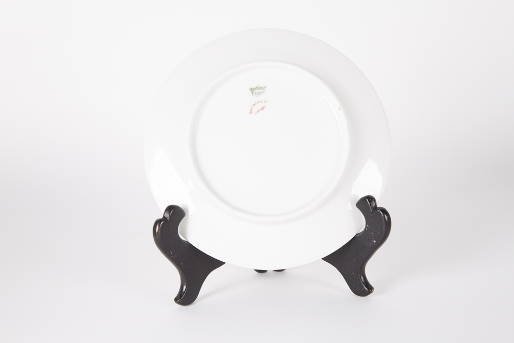 Haviland & Co. Limoges China Tableware Set