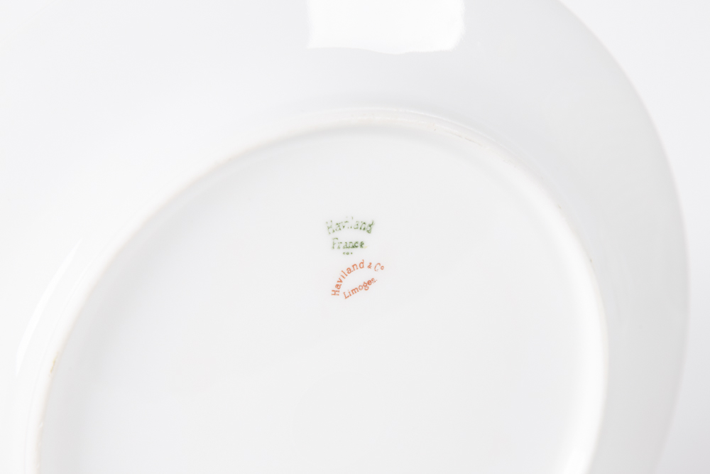 Haviland & Co. Limoges China Tableware Set