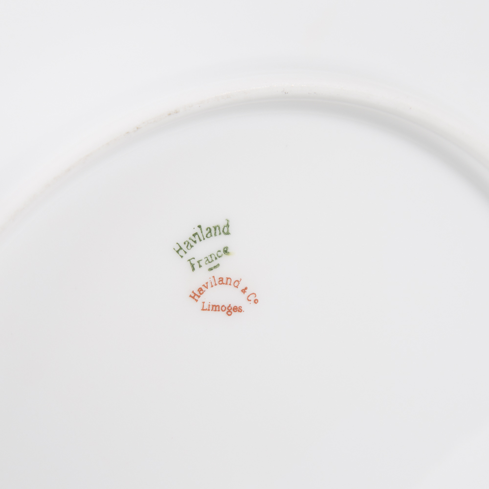 Haviland & Co. Limoges China Tableware Set