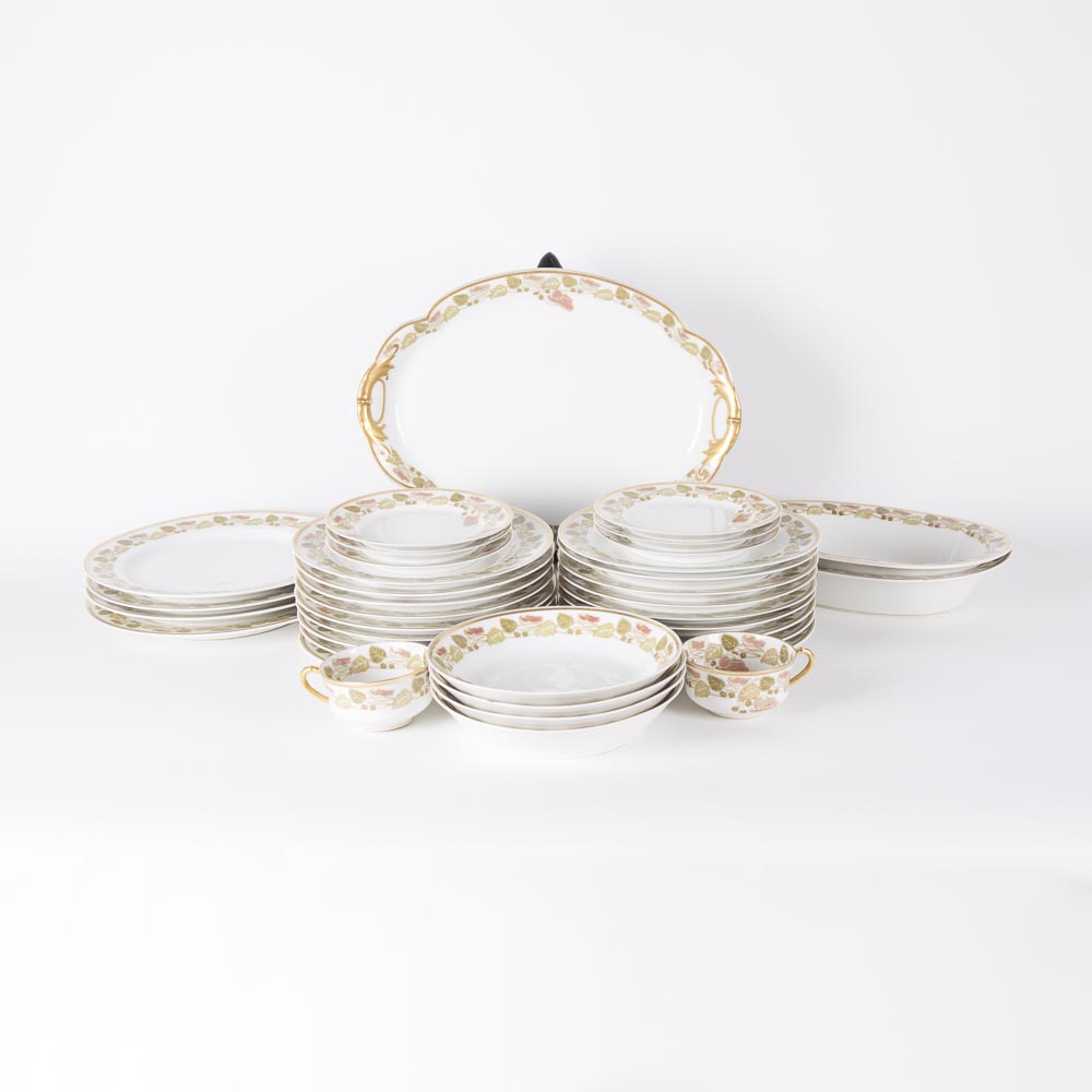 Haviland & Co. Limoges China Tableware Set