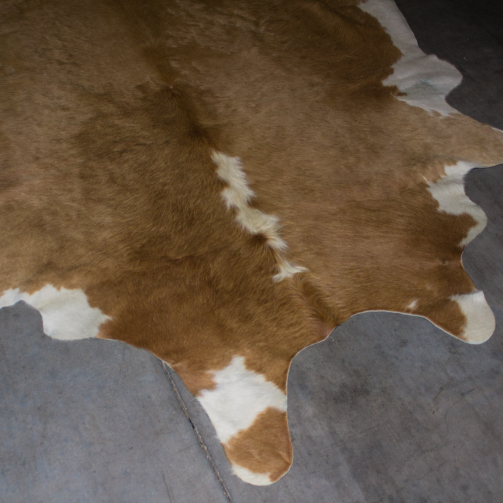 Cow Hide Rug