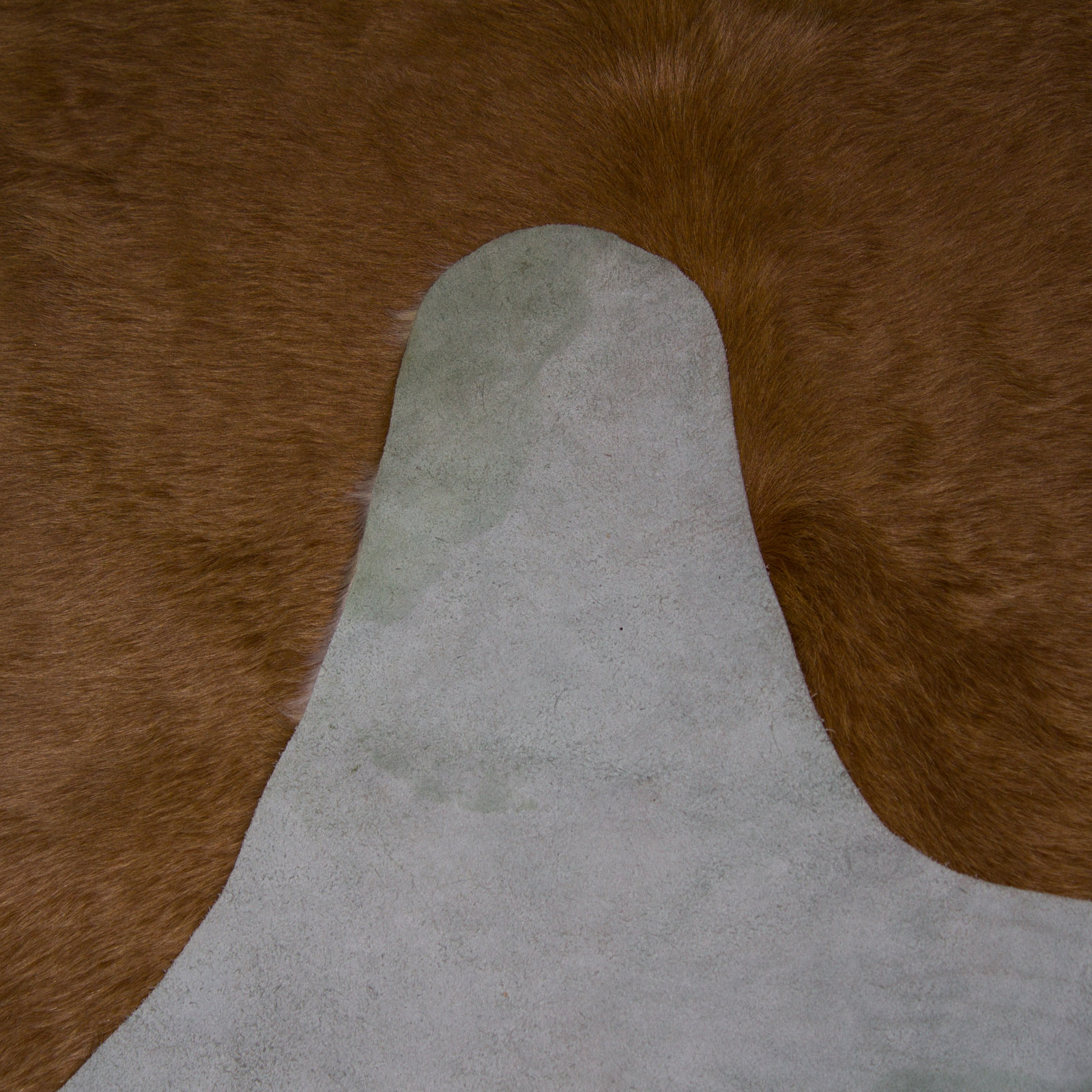 Cow Hide Rug