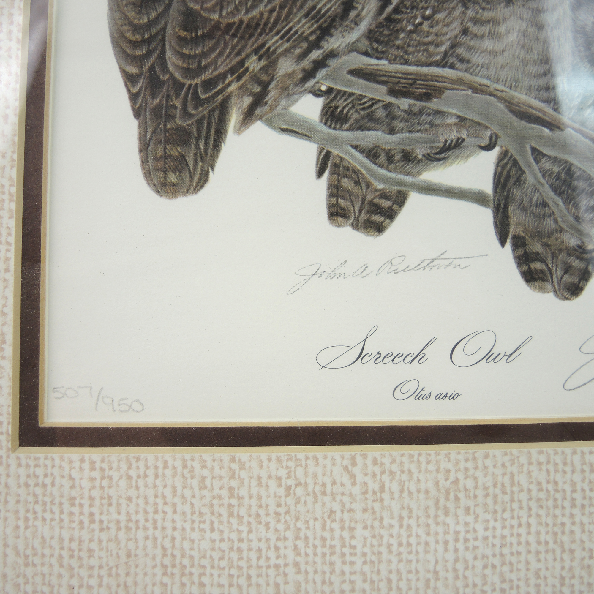 John Ruthven "Screech Owl" Print and Collectibles