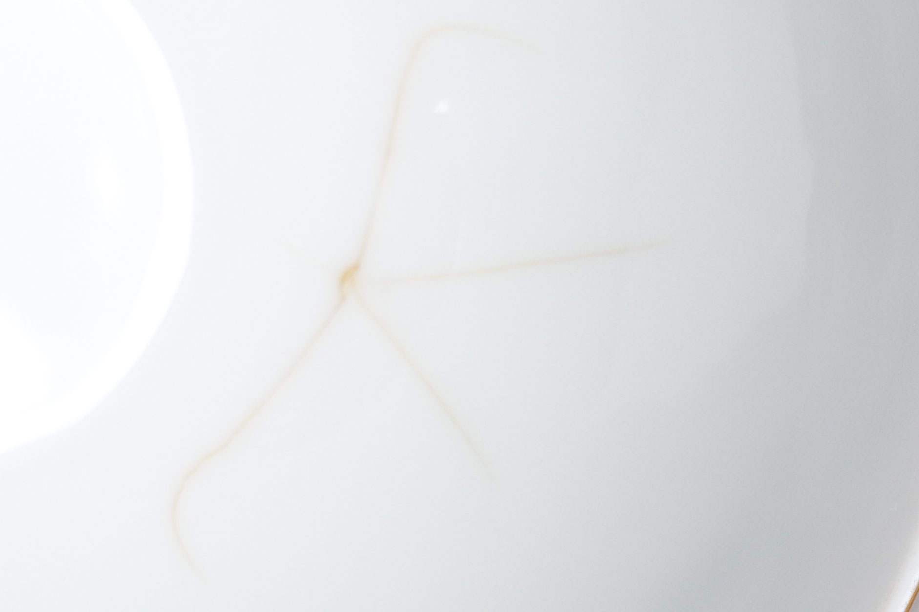 Grouping of Vintage Royal Bayreuth "Belmont" China