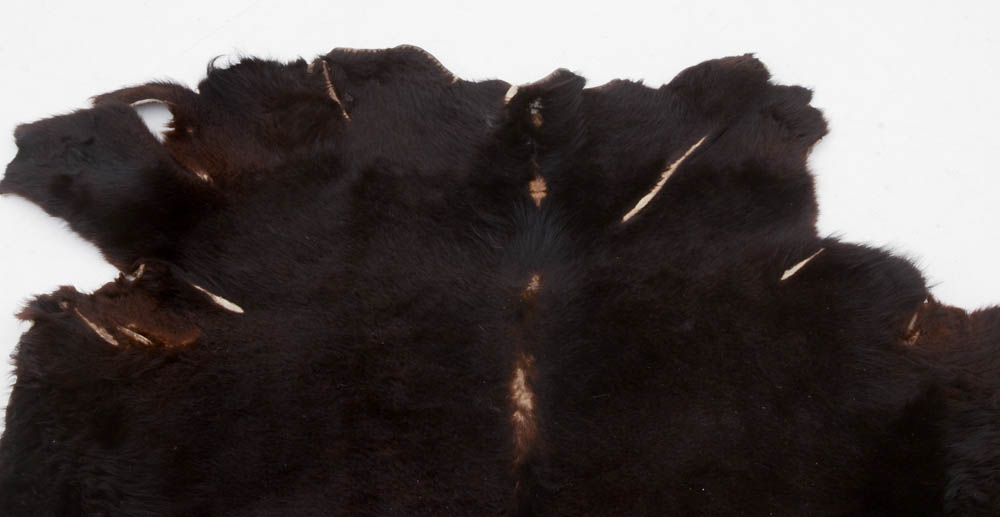 Genuine Black Bear Rug