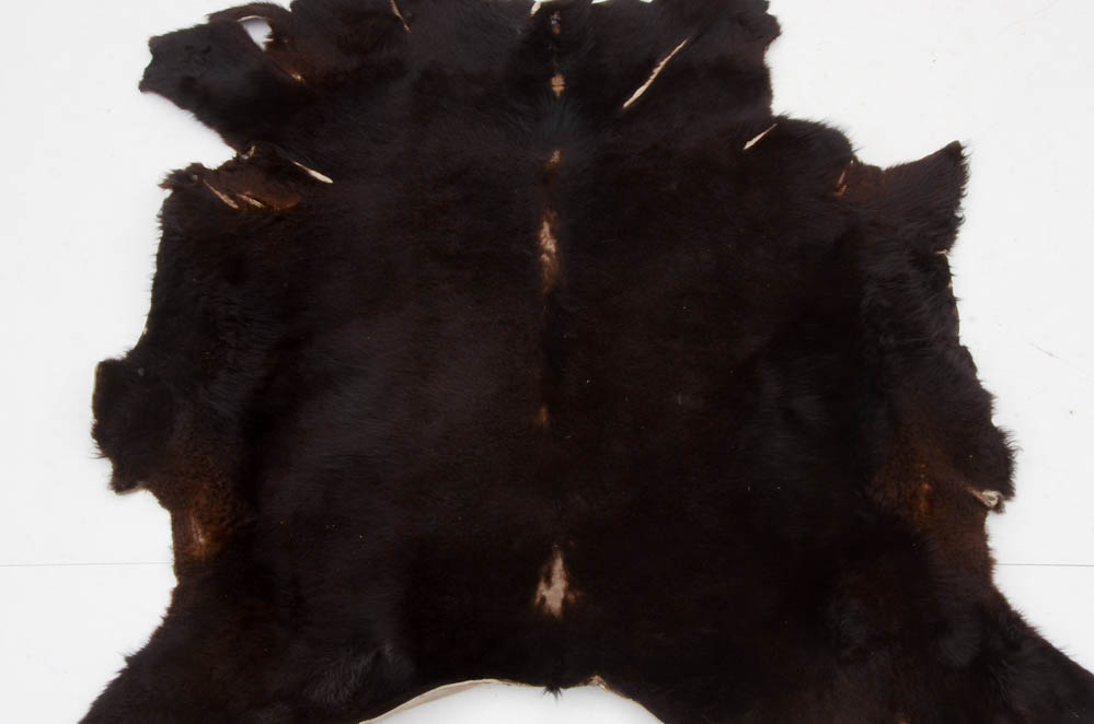 Genuine Black Bear Rug
