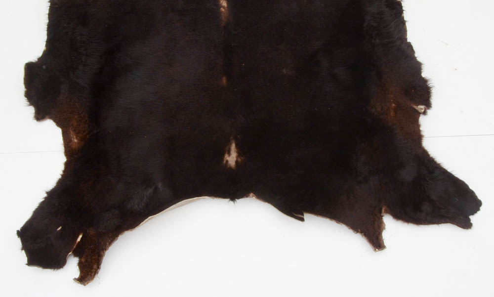 Genuine Black Bear Rug