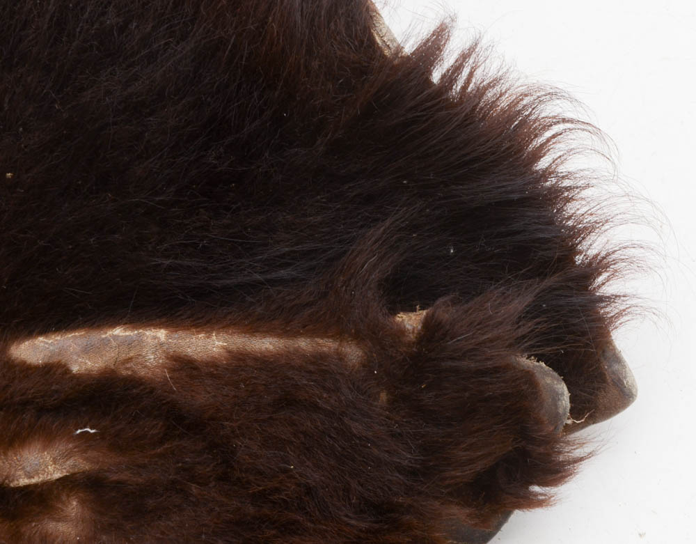 Genuine Black Bear Rug