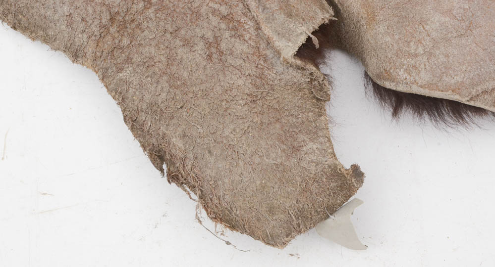 Genuine Black Bear Rug