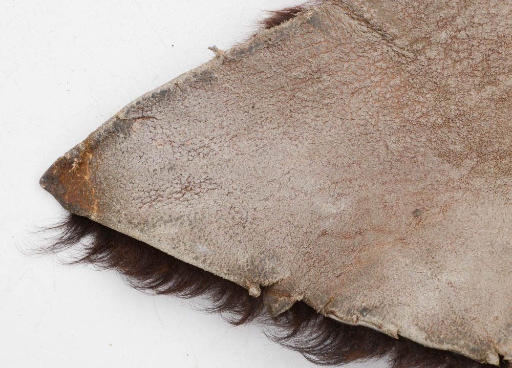 Genuine Black Bear Rug