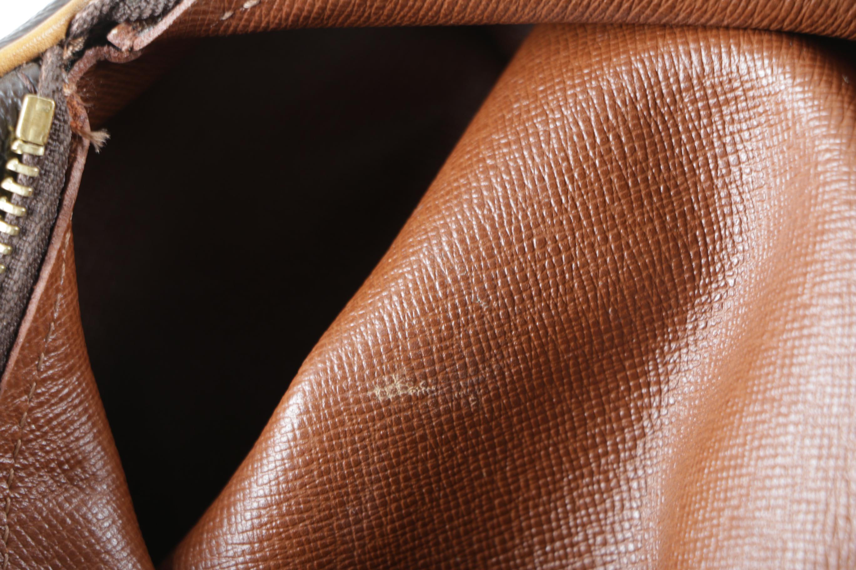 Louis Vuitton Monogram Papillon Bag