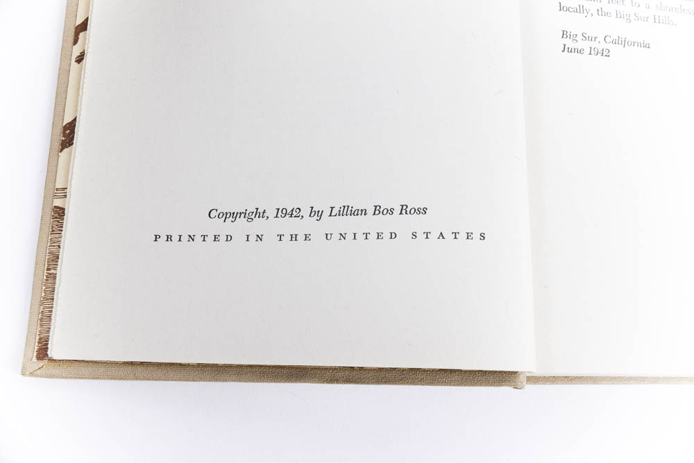 "The Stanger" by Lillian Bos Ross