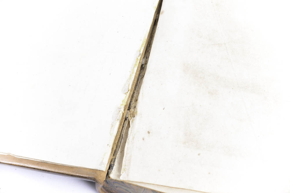 1721 "The Complete Works of Geoffrey Chaucer" First Edition Edited by John Urry